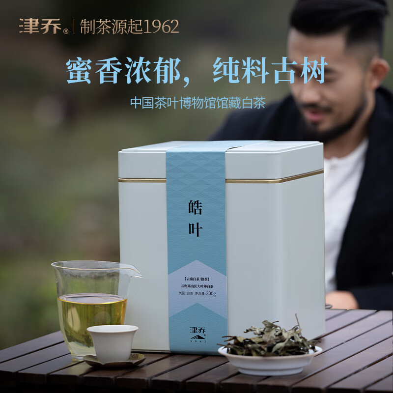 津乔2023年皓叶云南古树茶叶馆藏白茶云南大叶种纯料白茶罐装礼盒300g 2023年皓叶300g