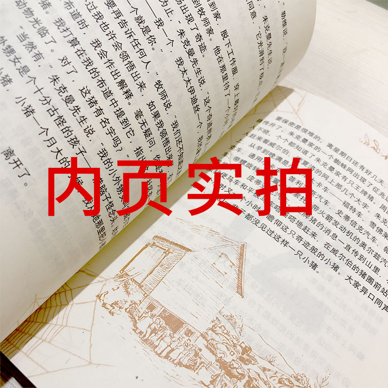 [醉染正版]夏洛的网三年级四年级必读课外书正版上海译文出版社怀特原版人教版中文五年级六年级小学生阅读书籍绘本下落的网非注高清大图