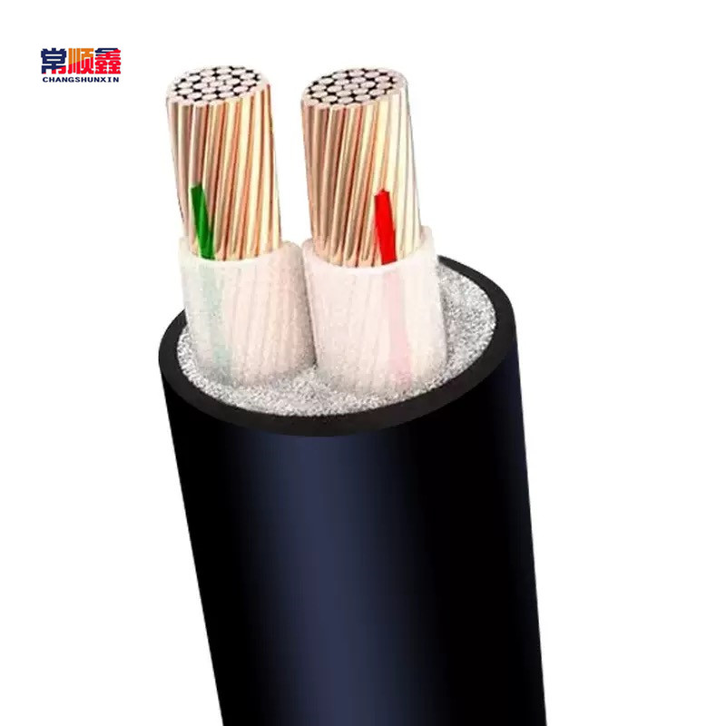 常顺鑫 低压铜芯电缆ZC-YJV2×25 米高清大图