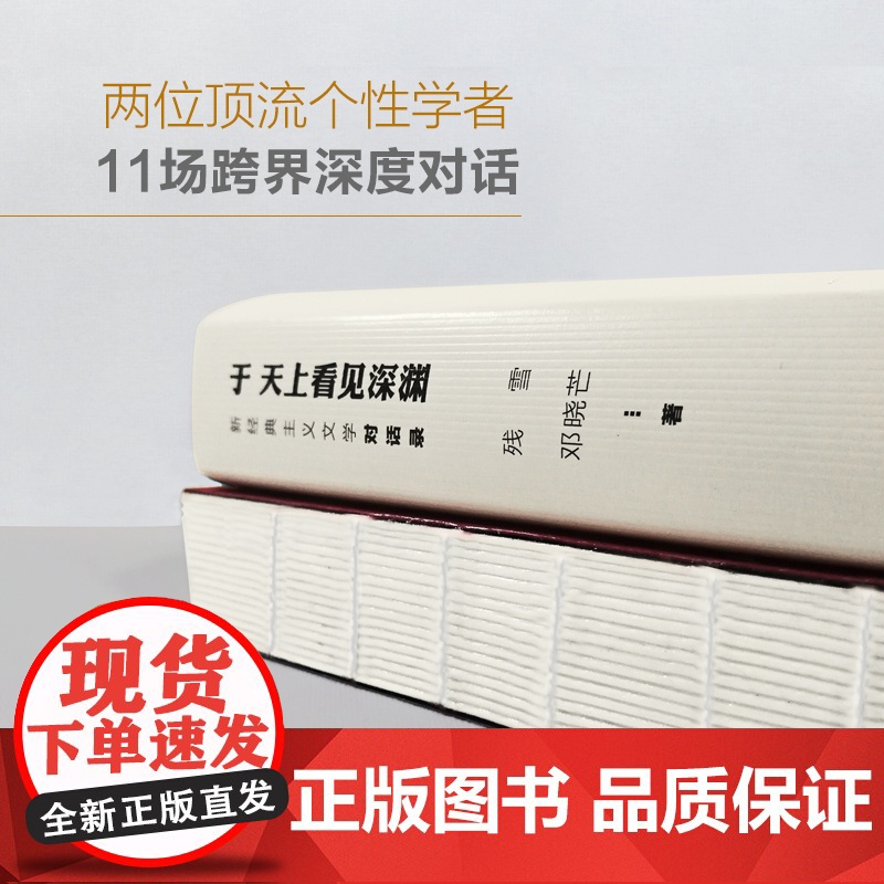 于天上看见深渊:新经典主义文学对话录 诺奖提名作家残雪&amp;著名哲学家邓晓芒,为文学的躯体注入哲学的灵魂高清大图