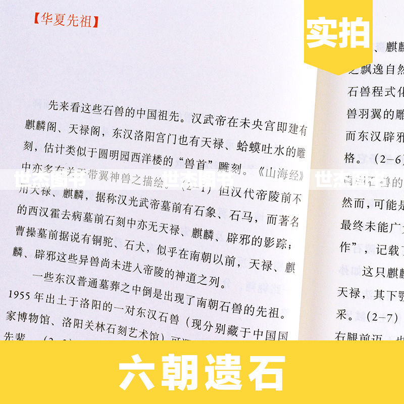 [正版]读库 六朝遗石 王南建筑史诗系列 六朝陵墓建筑与石雕遗存 南朝陵墓中国古代建筑历史考古文物资料图解营造天书高清大图