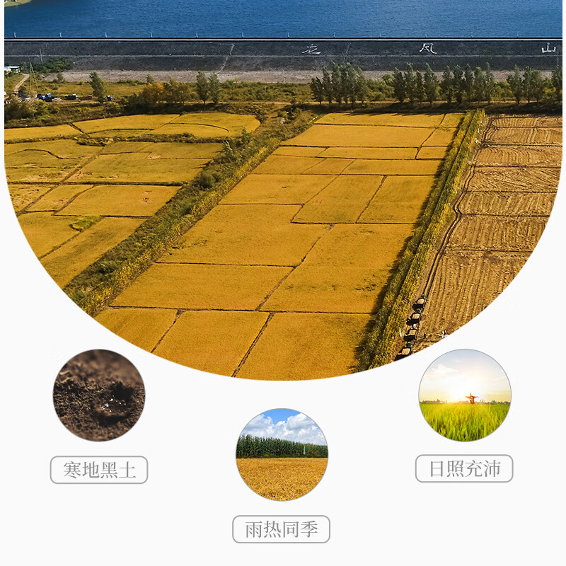 柴火大院 官方溯源五常大米 5kg (原粮稻花香2号 东北大米 10斤)高清大图