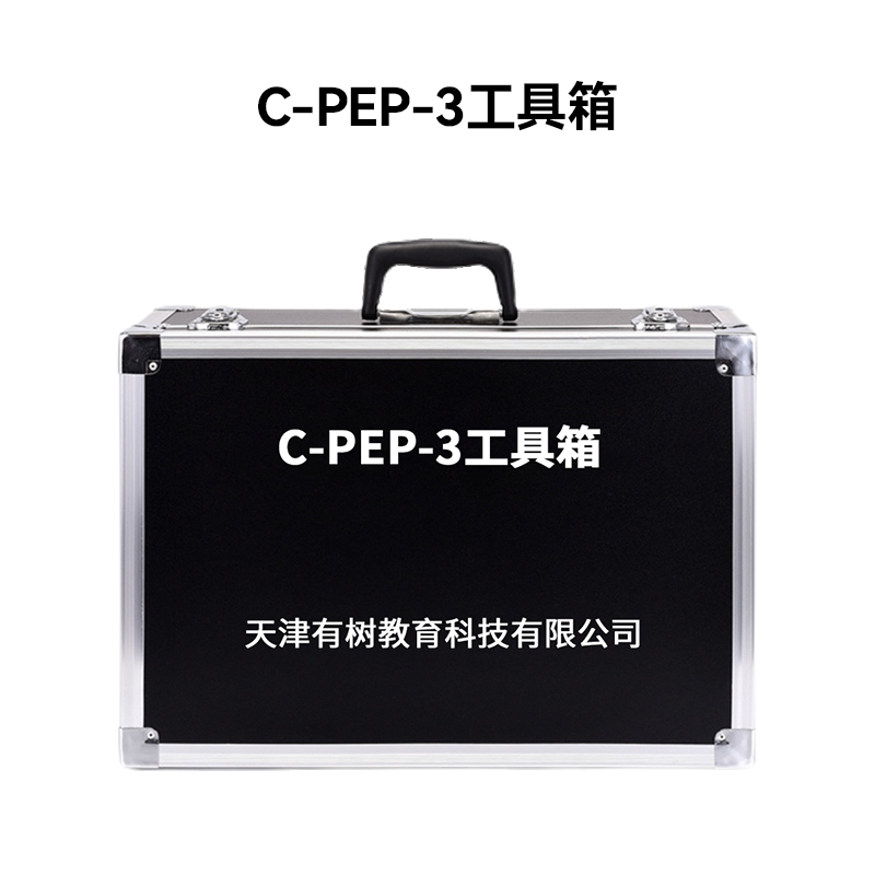 有树 YSXL-CPEP3 C-PEP-3自闭症孤独症量表儿童测试减压专业早教教具高清大图