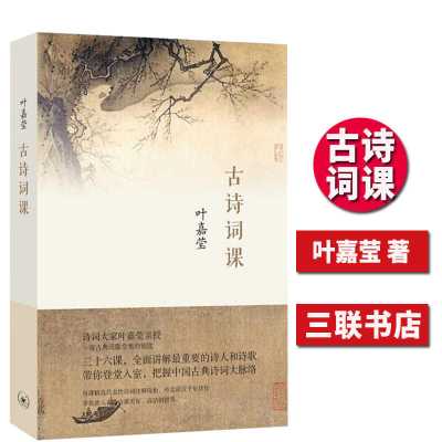 古诗词课 叶嘉莹 迦陵中国古诗词大全集古典文学理论古典诗歌诗词 默认
