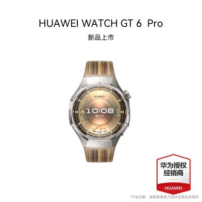 【智能手表】HUAWEI WATCH GT6 Pro (ATM-B29) 46mm 棕色复合编织表带 琥珀棕