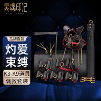 灵魂印记sm口球调教捆绑道具激情套装乳夹夫妻共用情趣用品工具