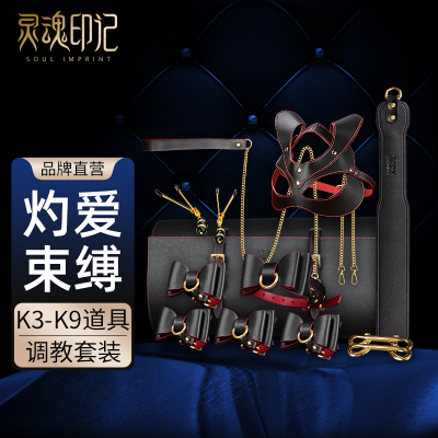 灵魂印记sm口球调教捆绑道具激情套装乳夹夫妻共用情趣用品工具