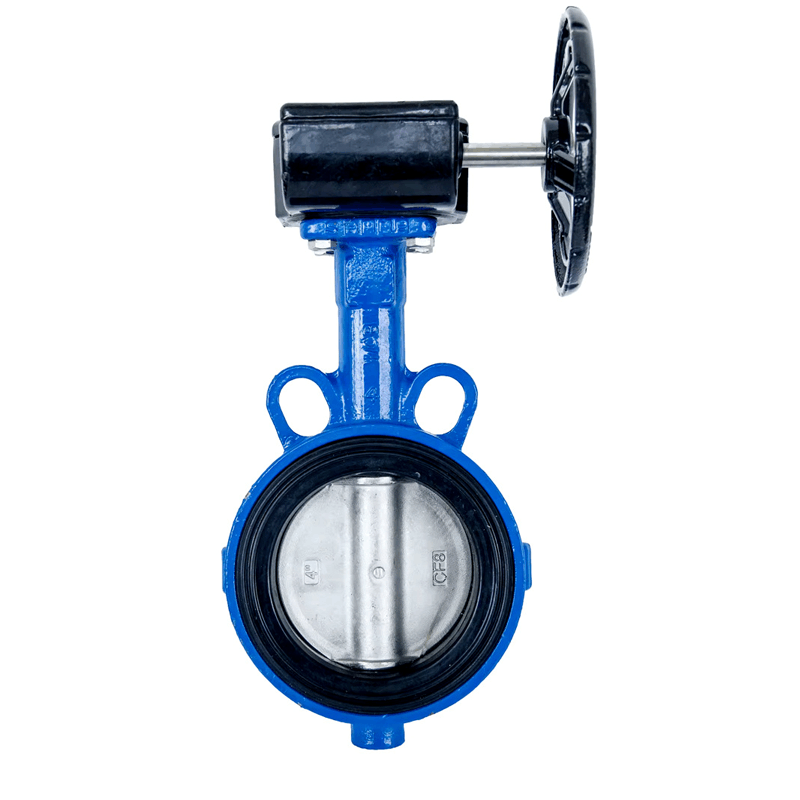 百里才 涡轮对夹蝶阀 DN80个图片