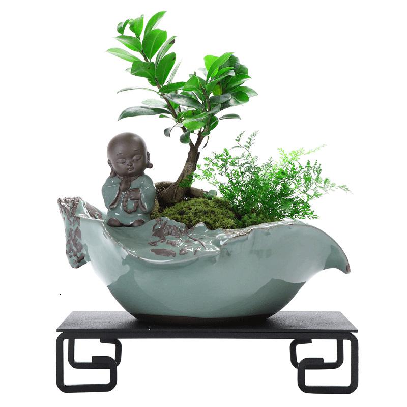 美帮汇创禅意新中式哥窑陶瓷花盆小叶榕树盆栽盆景家用办公室净化空气高清大图
