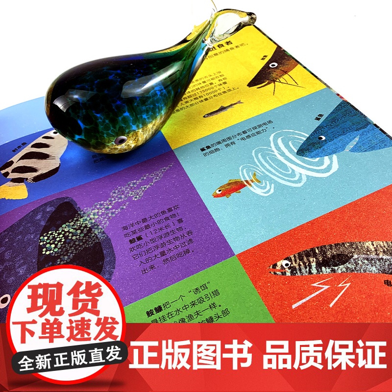 无处不在的鱼 艺术气息浓厚的纸上水族馆, 大奖获奖插画家创作的趣味鱼类小百科6-9岁高清大图