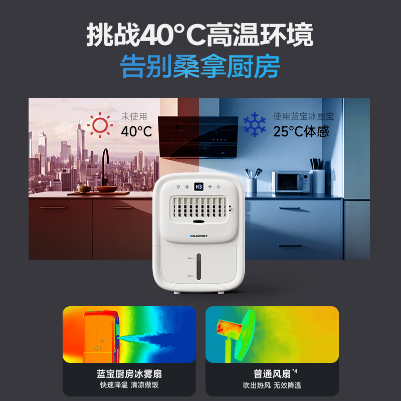 蓝宝(BLAUPUNKT)厨房冰雾扇BP-X6高清大图