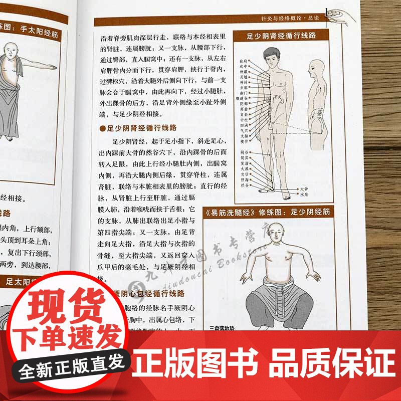 图解针灸大全/中医经络穴位正版书针炙学全书入门刺血疗法全一针疗法马氏温灸法黄帝内针灸绳基本功大成甲乙经针灸秘验与绝招书籍高清大图