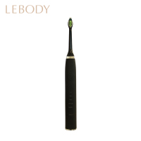 LEBODY(乐芭迪) 电动牙刷HY6063 成人充电式声波旋转清洁3D软毛自动智能家用防水净白牙齿声波牙刷震动牙刷 黑