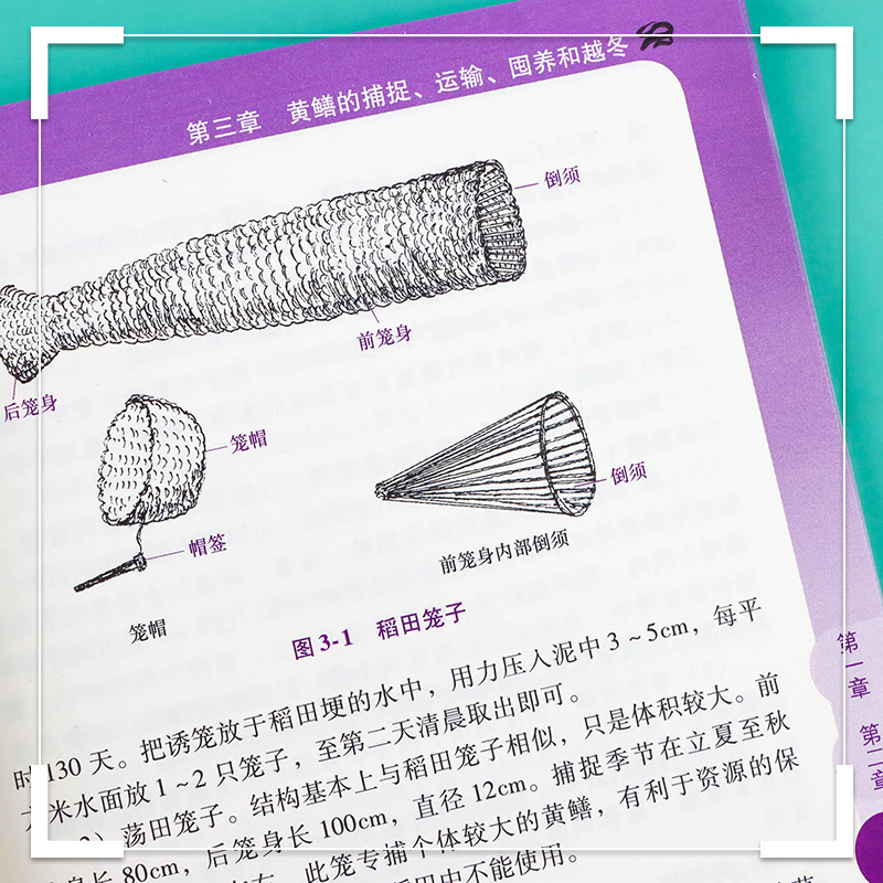 [正版]黄鳝高效养殖技术精解与实例 黄鳝高效养殖技术精解与实例 科学养殖书籍 黄鳝养殖书 水产养殖入门书籍高清大图