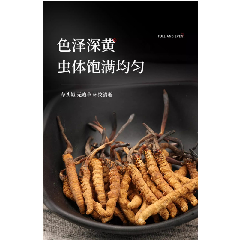 索朗顿珠冬虫夏草3根/克(15根5克)简易装头期正品干草礼盒装