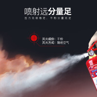 绿消 手提灭火器 8KG 1个