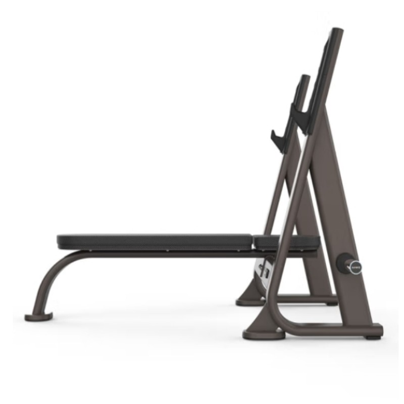 舒华综合训练器械 多功能力量器械平卧举重床(配套杠铃片) SH-G8871