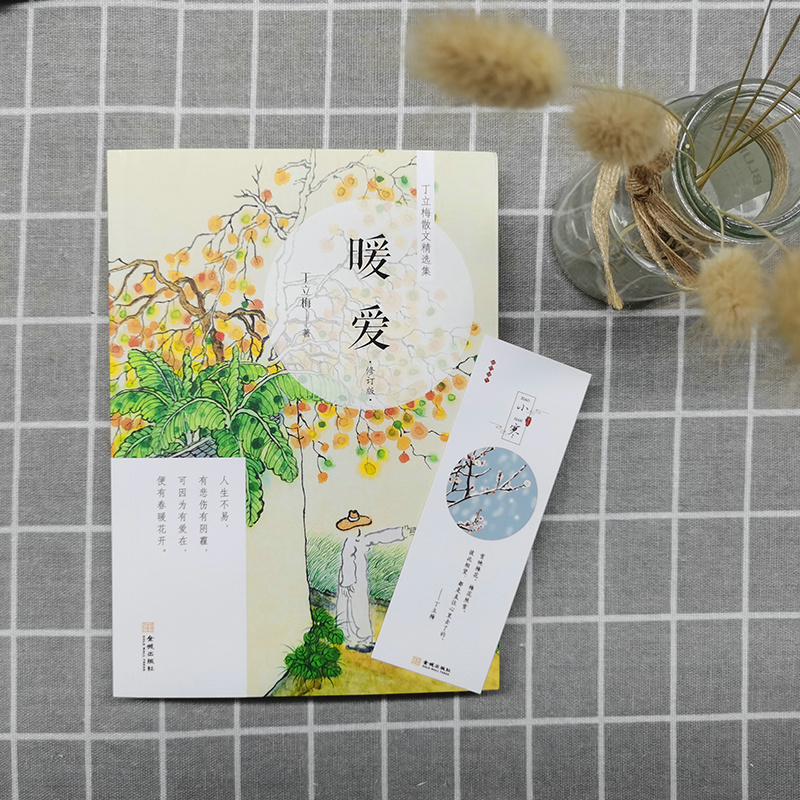 [正版] 暖爱 丁立梅著 丁立梅精品十年作品集散文集作品集系列 初中生语文课外阅读书籍中考阅读写作素材书 金城出版社高清大图