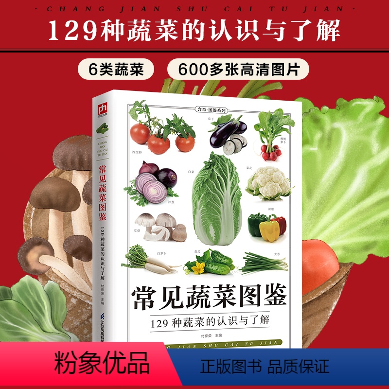 【正版】常见蔬菜图鉴五谷杂粮营养介绍饮食功效解读 食材选购指南美食烹饪菜谱 食物营养搭配饮食宜忌大全书饮食功效解读食材