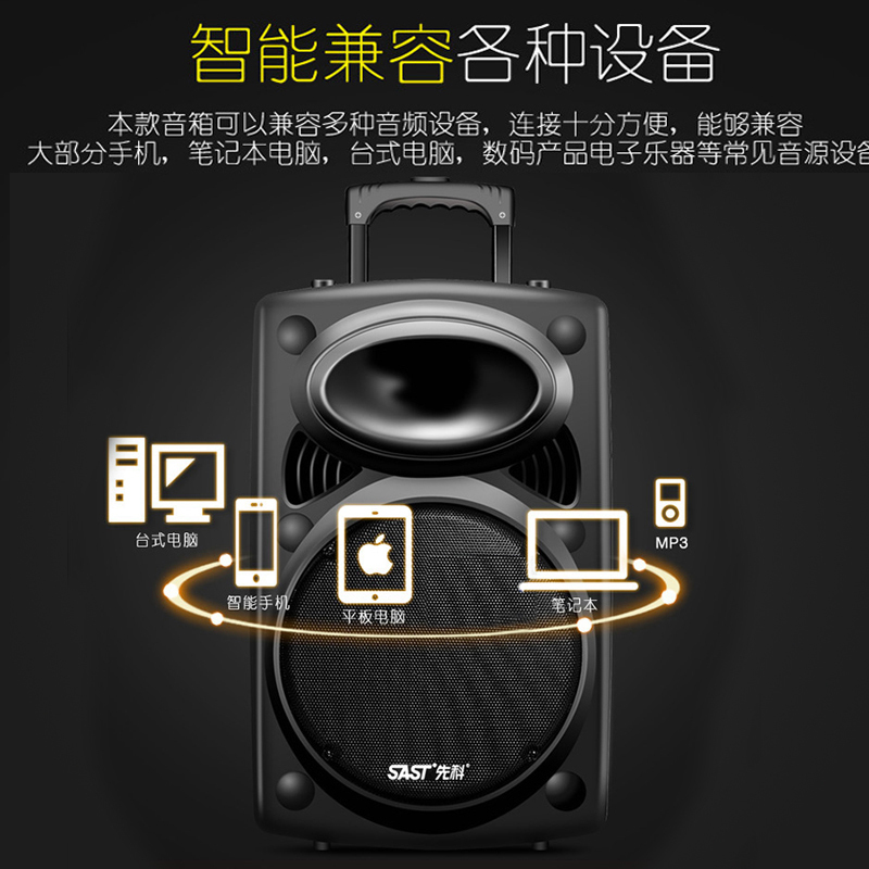 先科(SAST) 15英寸移动便携式广场舞音响 户外大功率蓝牙拉杆音箱 重低音炮带无线麦克风扩音器有源音箱