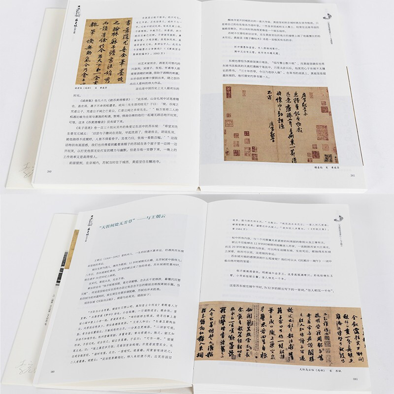 [正版] 苏东坡的朋友圈 刘墨 中国古代文人的艺术生活 苏轼生平年表书法绘画艺术人物故事古人趣味生活苏东坡传记文学人民美高清大图