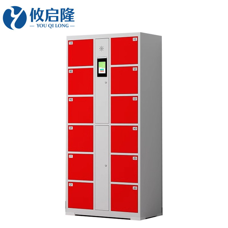 攸启隆12门寄存柜850*460*1800mm台高清大图