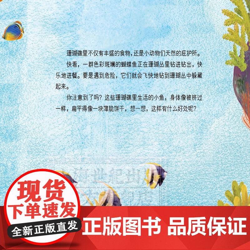 我的珊瑚礁 自然DIY 科普绘本 亲子手工 科普读物 自然科学 海洋科普 少年儿童出版社高清大图