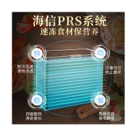 海信冰柜BD/BC-100N/A XH 常规款B2B商品,10份起订