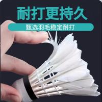 羽毛球_12只/盒_YICTOR