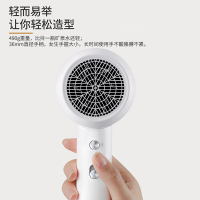 直白电吹风家用网红升级版大功率 理发店负离子不伤发静音冷热风便携式快速定型护发吹风机宿舍用电吹风筒男女 小米生态链