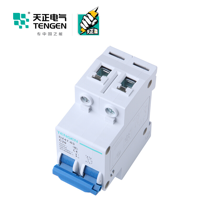 天正电气 空气开关 DZ47-63 2P C 20A 4.5KA 01060020256 微型断路器