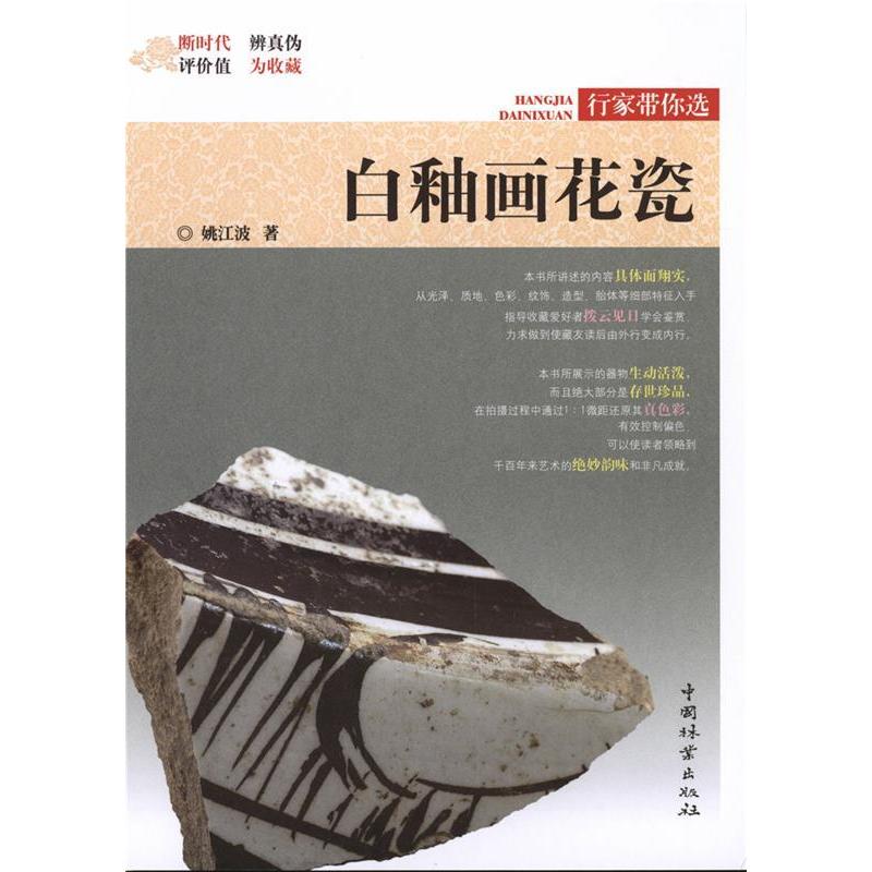 正版新书】行家带你选 白釉画花瓷姚江波9787503898853