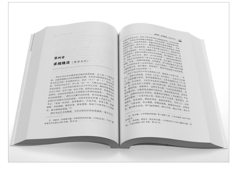 [醉染正版]中国书法史 朱仁夫 著 武汉大学出版社正版书法理论书籍艺术高清大图