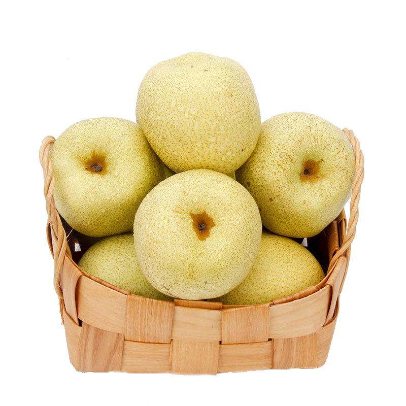 安徽宿州砀山原产地砀山酥梨18粒十斤装单果约250g300g新鲜水果原产地