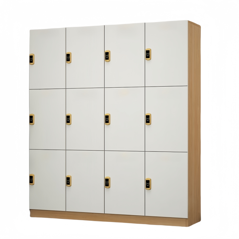 蕃蒂储物柜十二门台高清大图