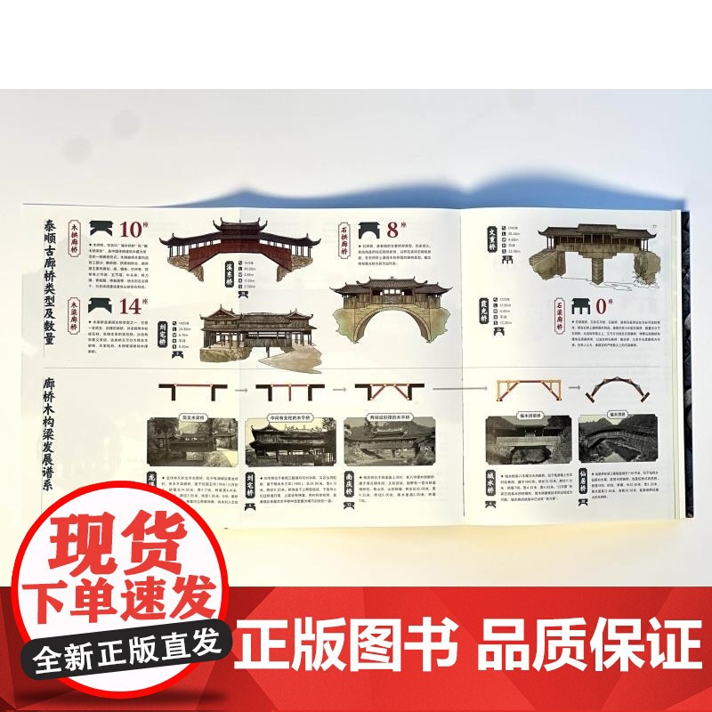 在泰顺看见中国 乡土文化遗产看中国 黄菊 展现八百年古村的复苏与新生展现乡土考证与非遗传承技艺上海人民美术出版社高清大图