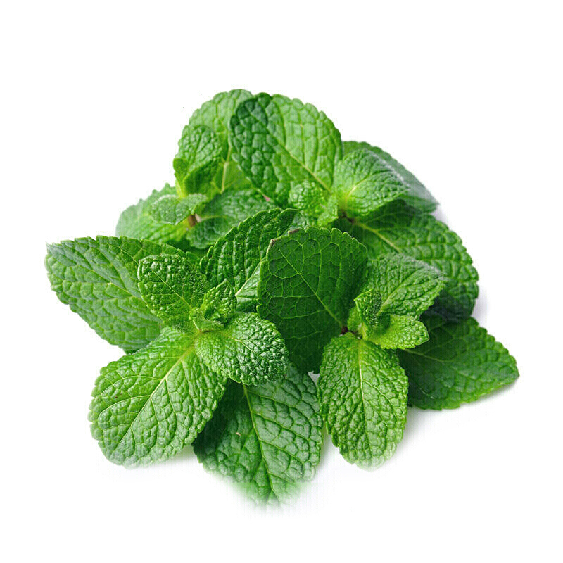 新鲜薄荷叶鱼香菜留香菜生鲜蔬菜可开