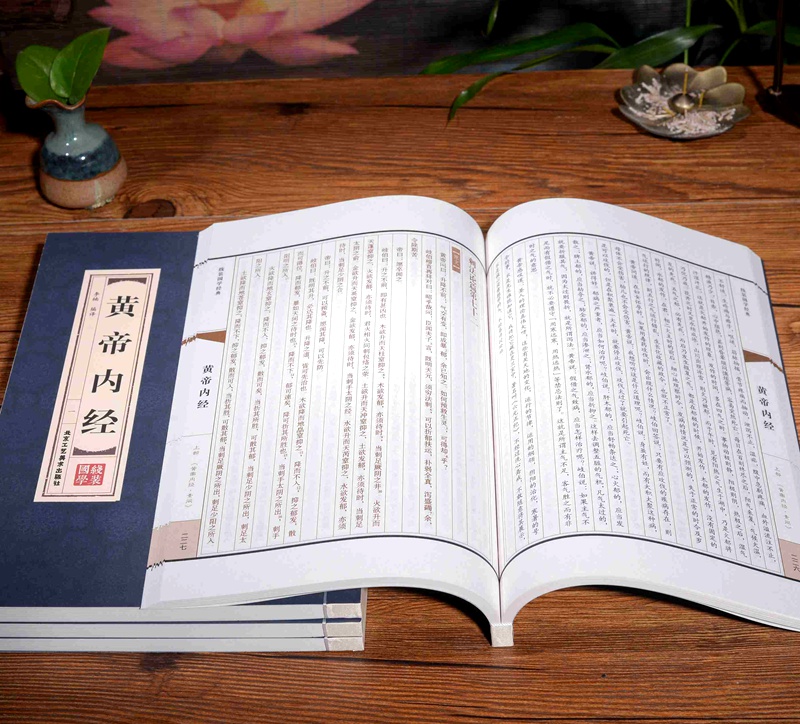 [醉染正版]黄帝内经 线装藏书馆(线装书籍16开全套四卷线装书籍古典装饰中医养生线装书本高清大图