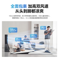 大宇(DAEWOO)[双气流无叶扇]等离子净化塔扇家用电风扇直流变频轻音自然风感柔风大风量整屋落地循环扇 AM09