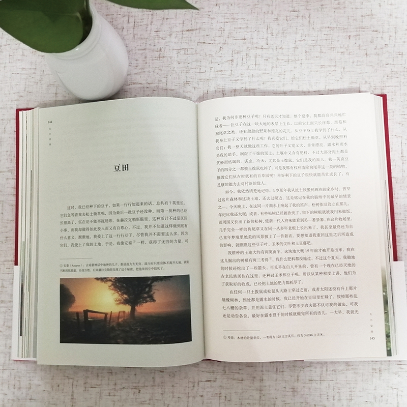 瓦尔登湖 [正版]认准瓦尔登湖 梭罗著名家全译本无删减外国现当代经典小说读物世界名著 初高中小学生课外阅读物世界国外高清大图