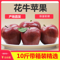 纯鲜嘉 花牛苹果10斤精品大果带箱 约18个左右 净重约9斤 新鲜蛇果水果粉面苹果宝宝辅食刮泥水果