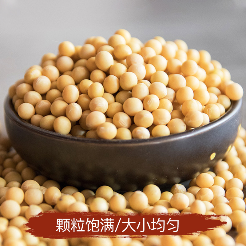 麦丰 黄豆500g/罐装 五谷杂粮 粗粮 国产食品 罐装送礼 大米粥米伴侣