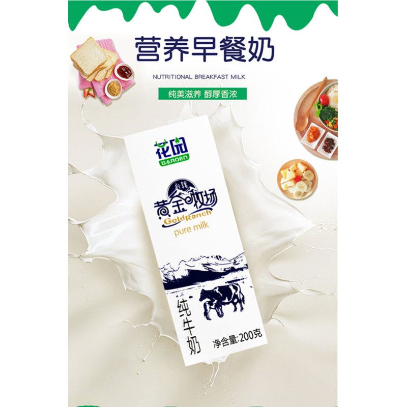 花园 新疆原生全脂灭菌纯牛乳 黄金牧场纯牛奶200ML*12盒/箱 12瓶装ZX
