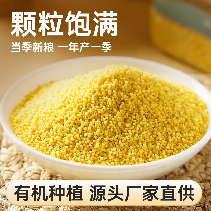 和粮溢田有机小米490g源头黄米小包装当季米油饱满高清大图