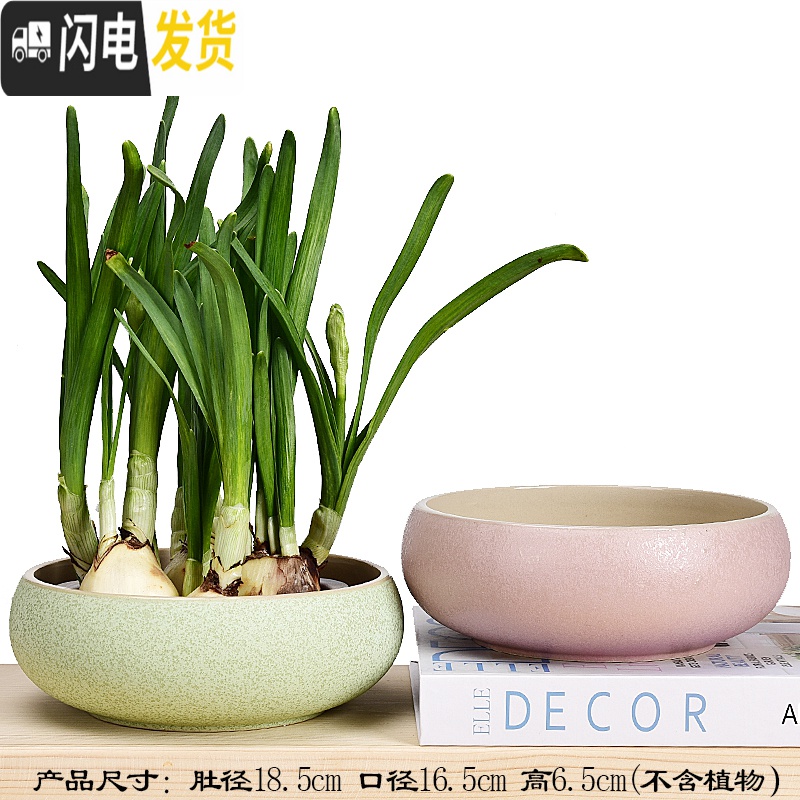 三维工匠水仙花盆铜钱睡莲碗莲荷花多肉水培花盆容器无孔陶瓷特大号 玲珑花盆2件套(无孔水培) 中等高清大图