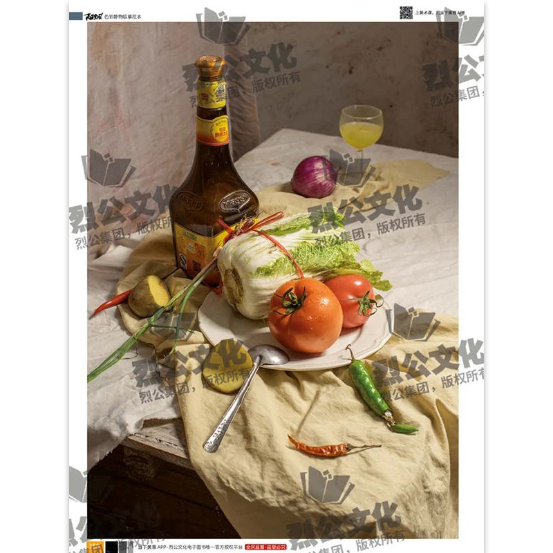 [正版]高手突围4色彩静物临摹范本 2023烈公文化阮鸿育高清大图