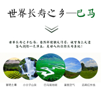 巴马绿豆小绿豆农家笨绿豆五谷杂粮熬粥绿豆汤原材料500g