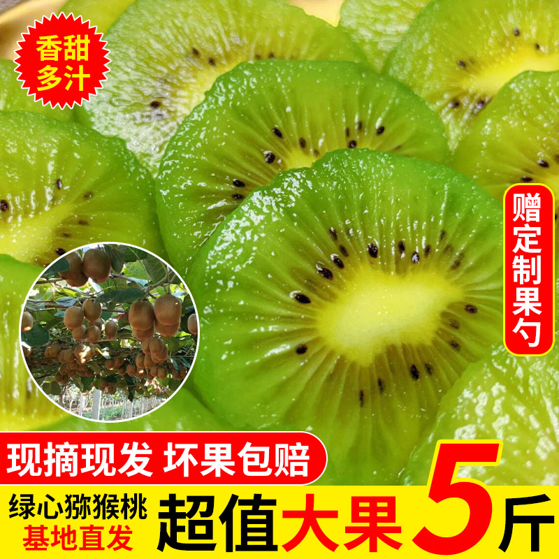眉猴果园 陕西眉县徐香猕猴桃90-120大果奇异果时令网红水果中秋月饼礼绿心果