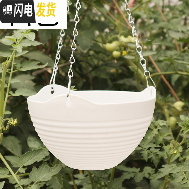 三维工匠吊兰花盆组合套餐大号绿萝挂盆送挂钩垂吊悬挂式塑料树脂吊篮花盆 1个不同颜色 大号(口径24cm)花盆容器高清大图