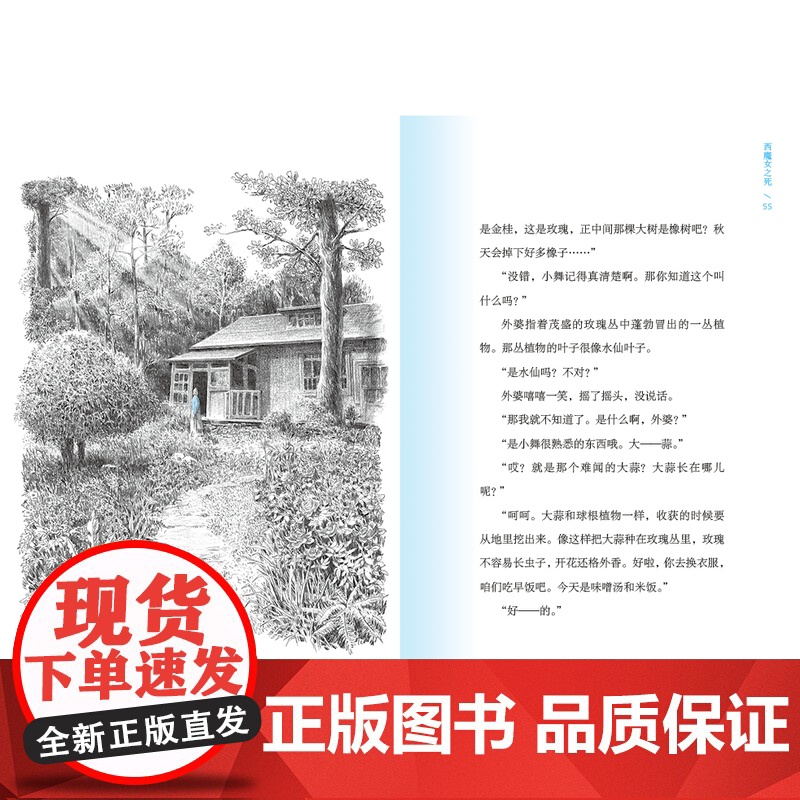 西魔女之死 〔日〕梨木香步/著 (8~14岁)治愈书 治愈文学 植物治愈 心理疗愈 祖孙亲情 成长小说 魔法象 广西高清大图